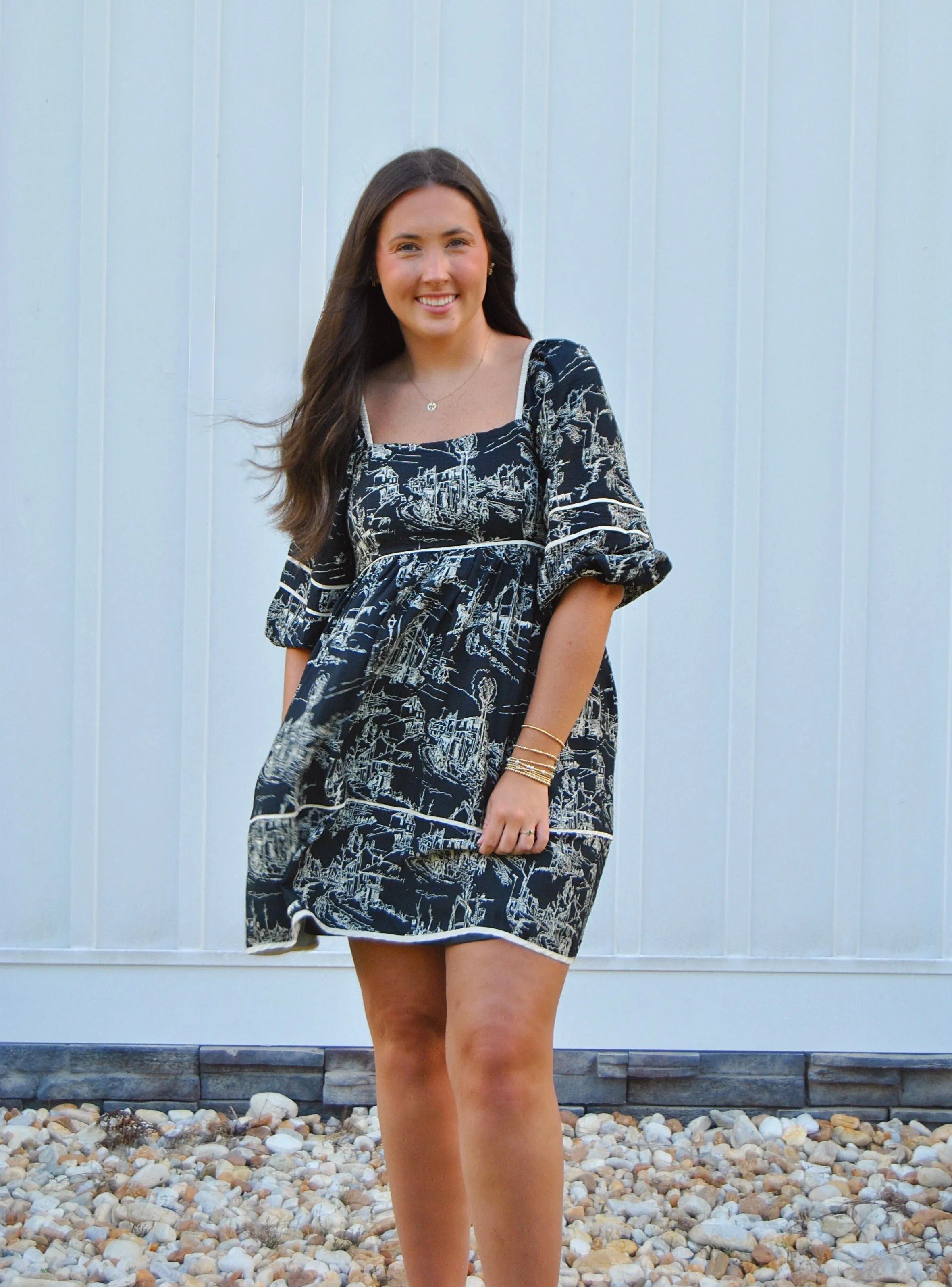 Landscape Toile Mini Dress